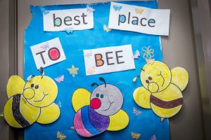 wondershool 16