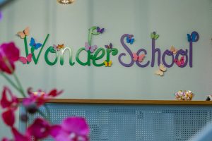 wondershool 18